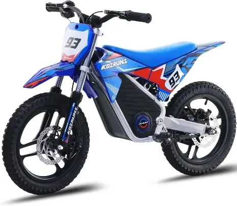 MX-E 250 Electric Dirt Bike